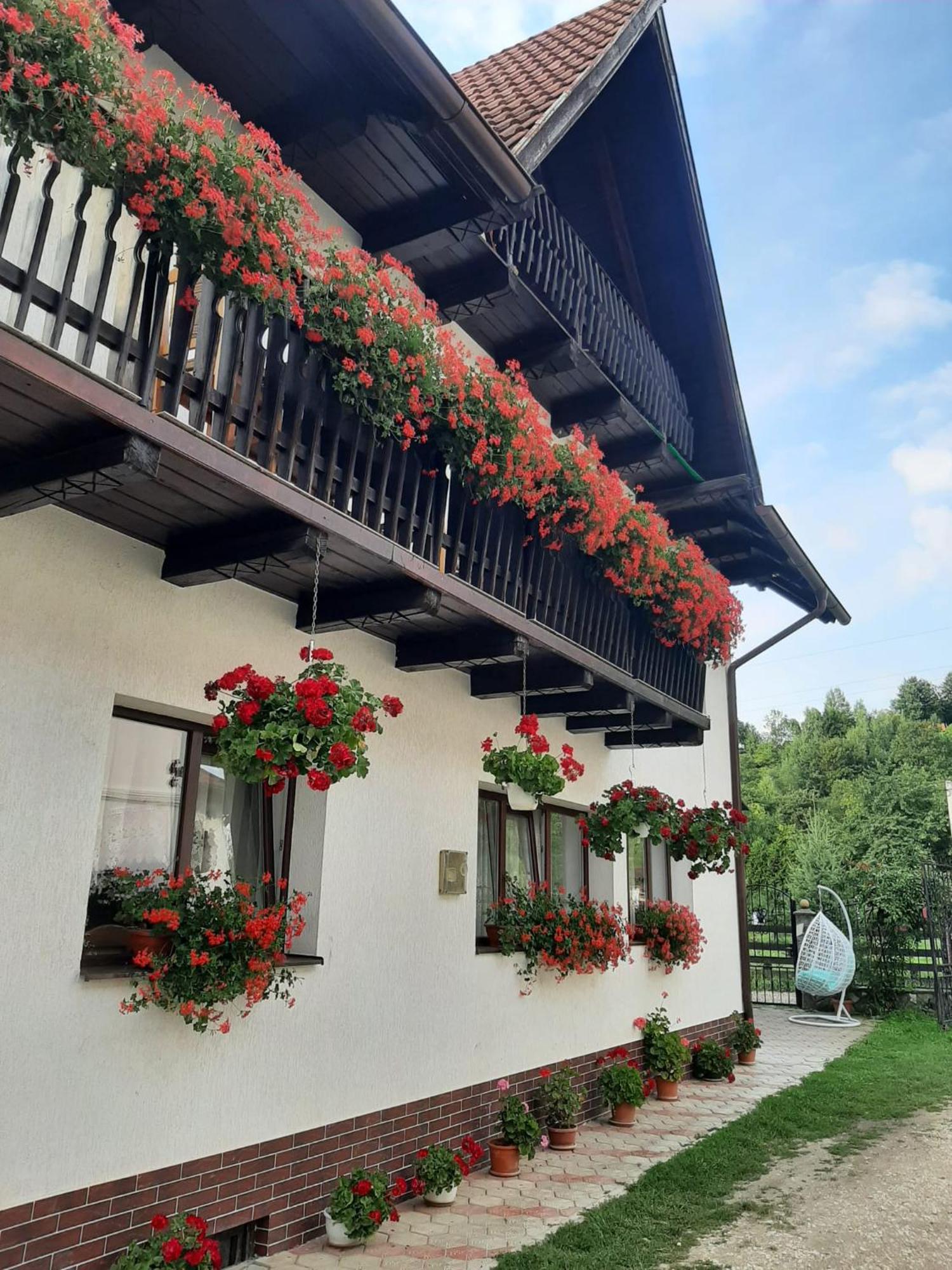 Hotel Casa Flavius Bran  Exterior foto